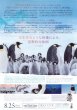 Photo2: March of The Penguins 2 The Next Step (2017) (2)