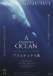 Photo1: A Plastic Ocean (2016) (1)